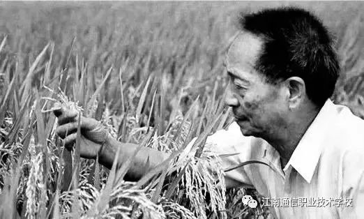 岳陽市江南通信職業技術學校,岳陽江南學校,岳陽江南通信學校,岳陽職業學校 岳陽市江南通信職業技術學校,岳陽江南學校,岳陽江南通信學校,岳陽職業學校