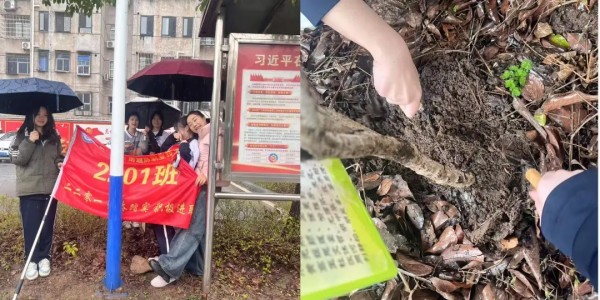 岳陽市江南通信職業技術學校有限公司,岳陽江南學校,岳陽江南通信學校,岳陽職業學校